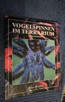 Vogelspinnen im Terrarium 