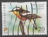 SINGAPORE : YELLOW RUMPED FLYCATCHER (VOGEL)   (33