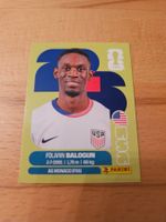Panini WM 2026 USA 20