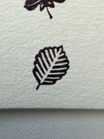 Stemplino Ministempel Blätter – Natur / Pflanzen / Karten