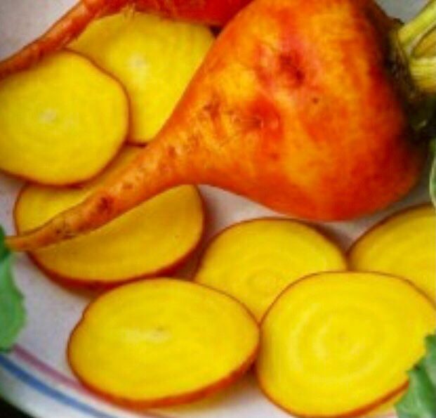 Ab 1.- fr 5 SAMEN SELTENE GELBE RÜBEN &amp;quot;GOLDEN EYE&amp;quot; | Kaufen auf Ricardo