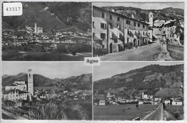 Agno - Multiview