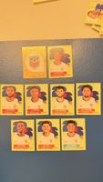 Panini USA 