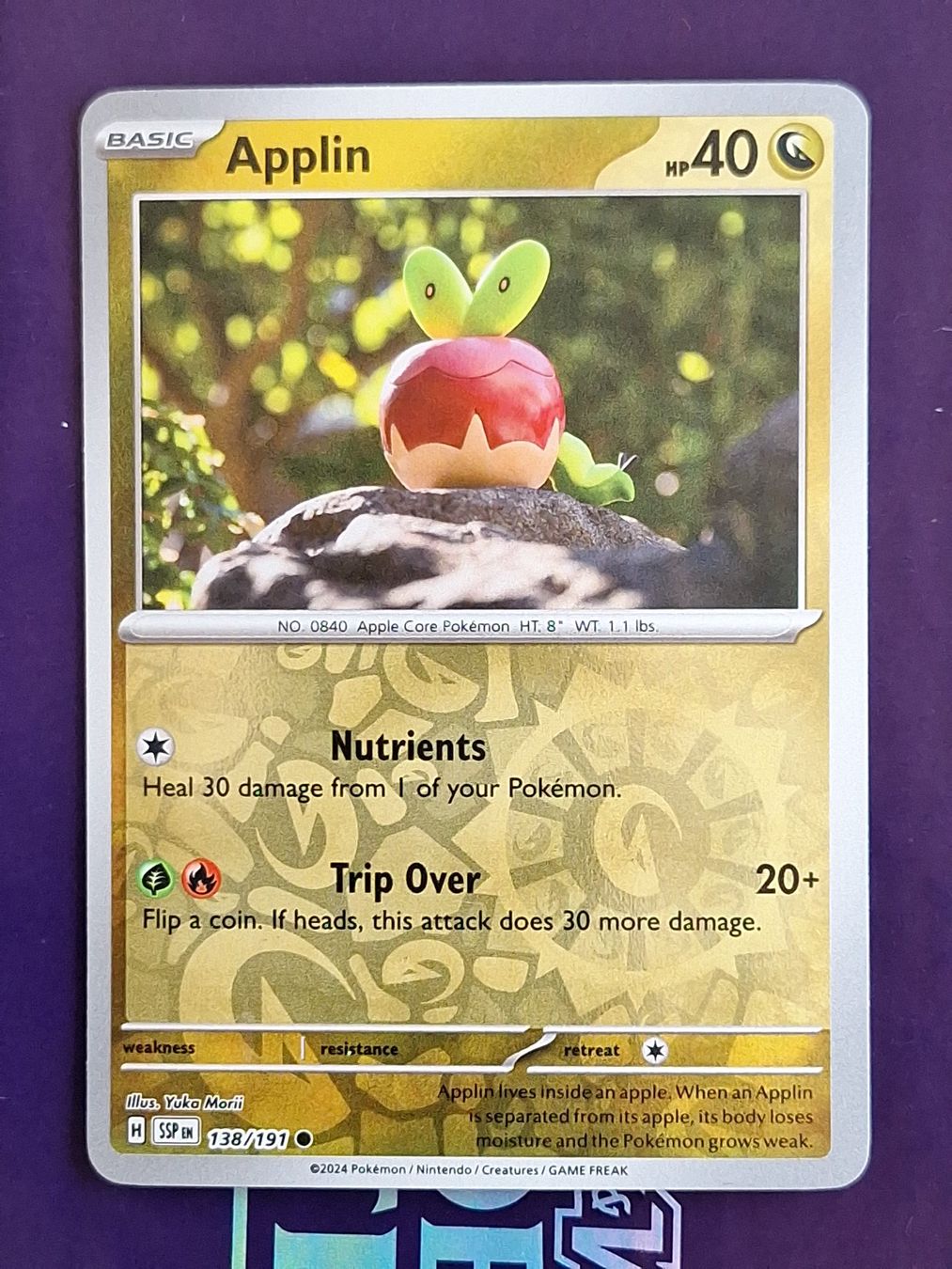 Pokémon Carte collezionabili: Applin - Reverse Holo - Pokemon Surging Sparks – Usato da Altstätten SG venduto da GGsGameshop