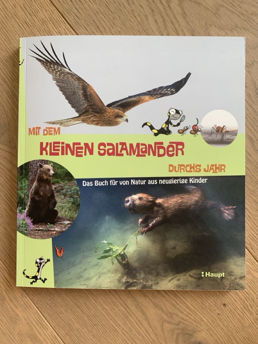 Libri: Mit dem kleinen Salamander durchs Jahr  – Usato da Winterthur venduto da amapola