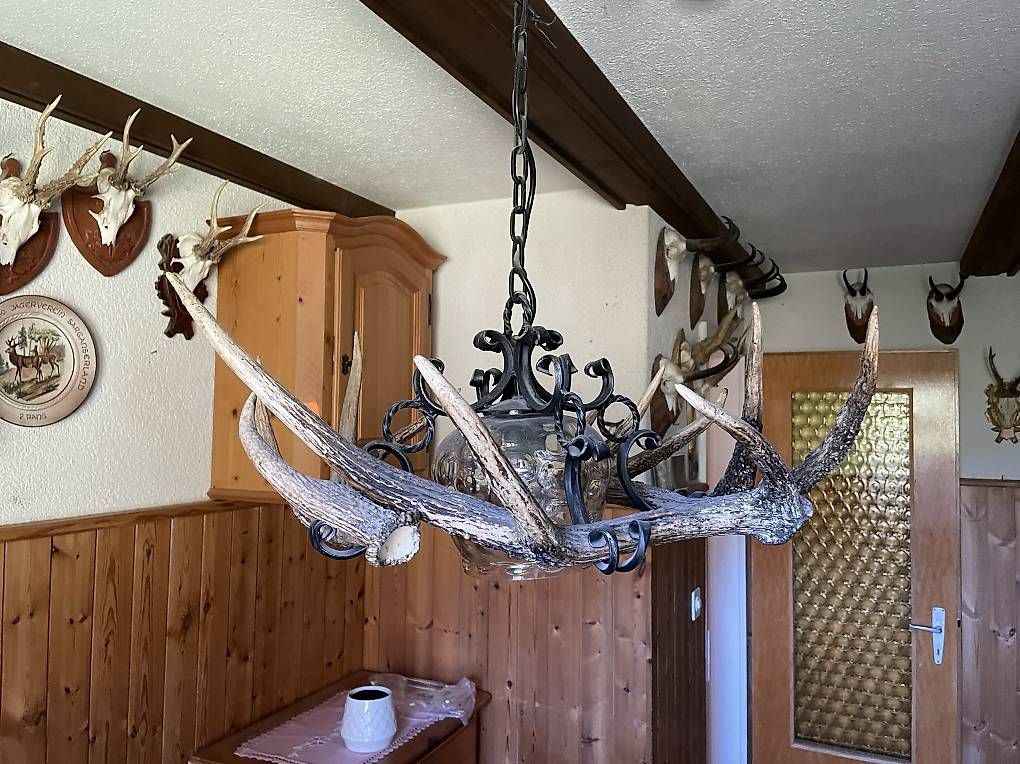 Lampes: Lampe mit Geweih – D'occasion à Winterthur par Gotzi2 2