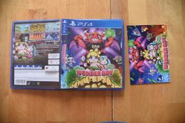 Wonder Boy Returns