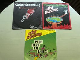 GEIER STURZFLUG Single Bruttosozialproduk Neu Deutsche Welle