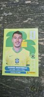 Panini BRA 18