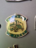 Pin Valser in Fahrt grün goldfarben gebraucht