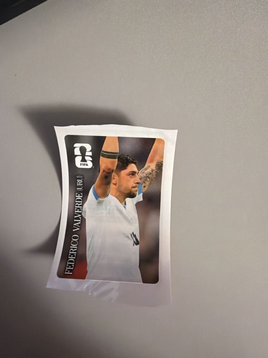 Panini Carte collezionabili: Coca Cola Panini Federico Valverde – Usato da Aarburg venduto da demeli
