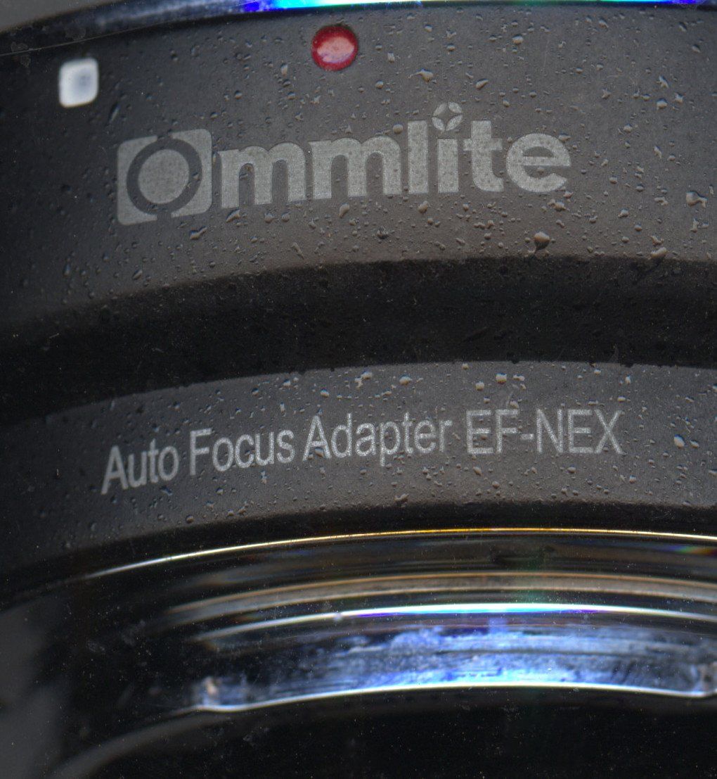 Adattatori foto: Commlite EF to NEX Canon zu E-Mount Autofokus Adapter – Usato da Riehen venduto da luc_7lfd