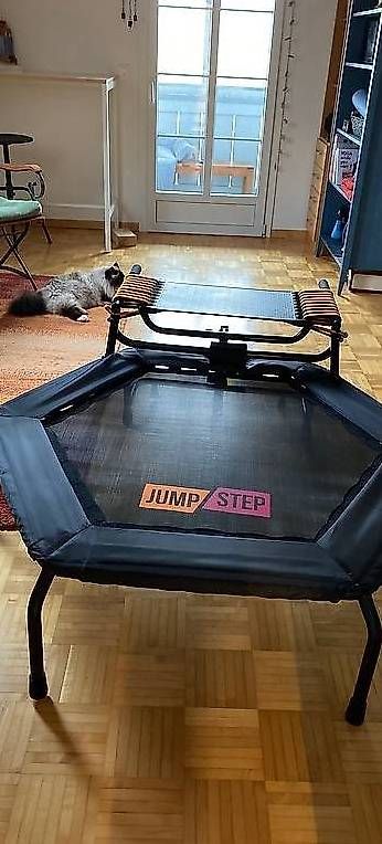 Trampolini: Minitrampolin JumpStep Hammer – Usato da Koppigen venduto da Leodimi