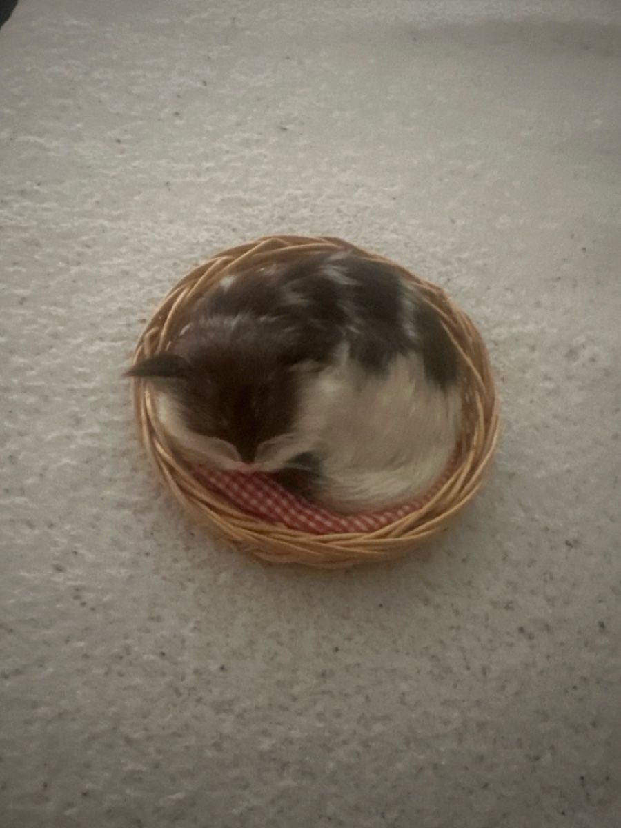 Alle Dekorationen: Deko Katze  – Gebraucht aus Kirchleerau von Rvgc86
