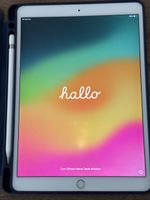 Apple iPad Pro mit Stift und Hülle
