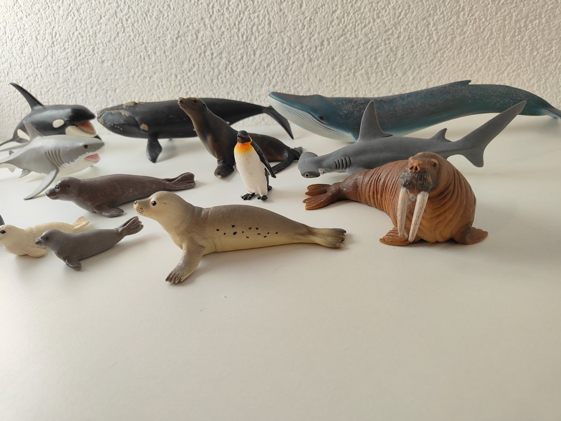 Schleich Figuren: Schleich Meerestiere Set Sammlung Hai Wal Delfin Orka – Gebraucht aus Thalwil von FigurenFreunde 1