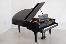C.Bechstein Flügel Modell C-220, 2016 revidiert
