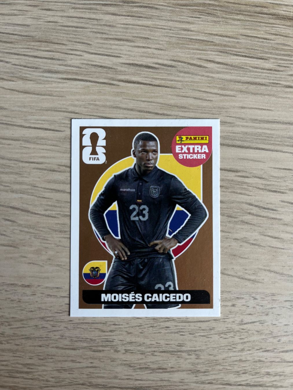Panini Sammelbilder & Trading cards: Panini Sticker WM 2026 - Extra Sticker Bronze - Caicedo – Gebraucht aus Zürich von Braxmax