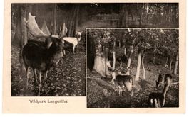 Langenthal Wildpark 1920