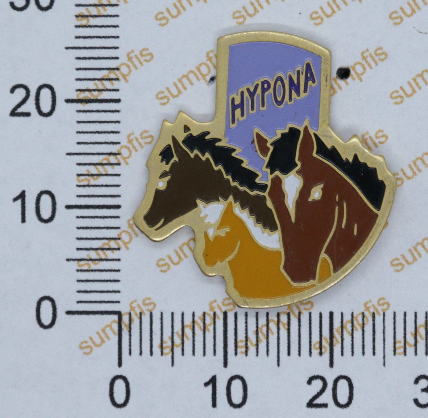 Placchette & Badge: Hypona Pferde-Pin – Usato da Winterthur venduto da sumpfis