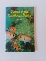 Fische der Karibik   Bildband  🐠🐟 Text in Englisch