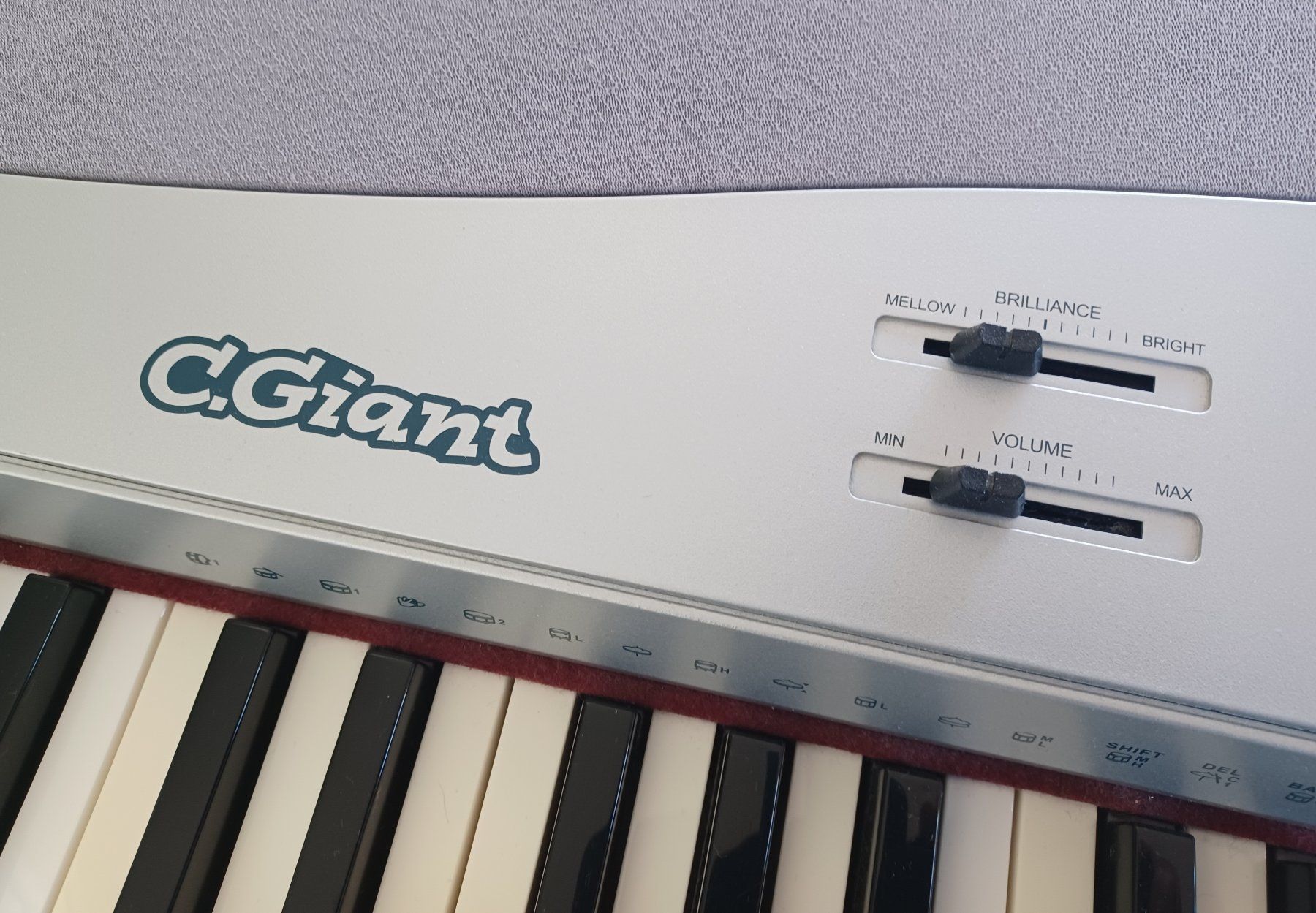 C.Giant Musikinstrumente: E-Piano C.Giant SP 5500 – Gebraucht aus Winterthur von Aladin013 3