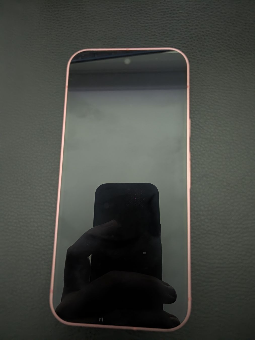 Google Portables: Pixel 9 - 256GB - PICKUP ONLY – D'occasion à Zug par skl_mpp8 1
