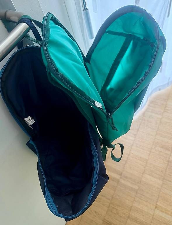 Zaini: zwei Wanderrucksäcke Quechua Arpenaz 10 – Usato da Zürich venduto da giovannisp 2