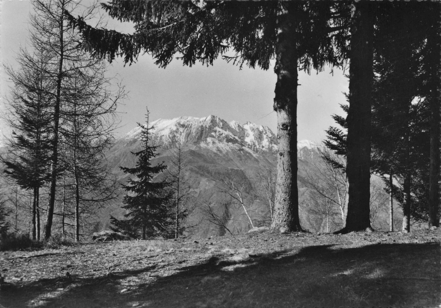 Cartoline postali: Cardada Locarno T – Usato da Biasca venduto da Blenio71