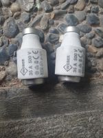 Schmelzsicherung DIII T E33 35A gG 500 V 2 Stück