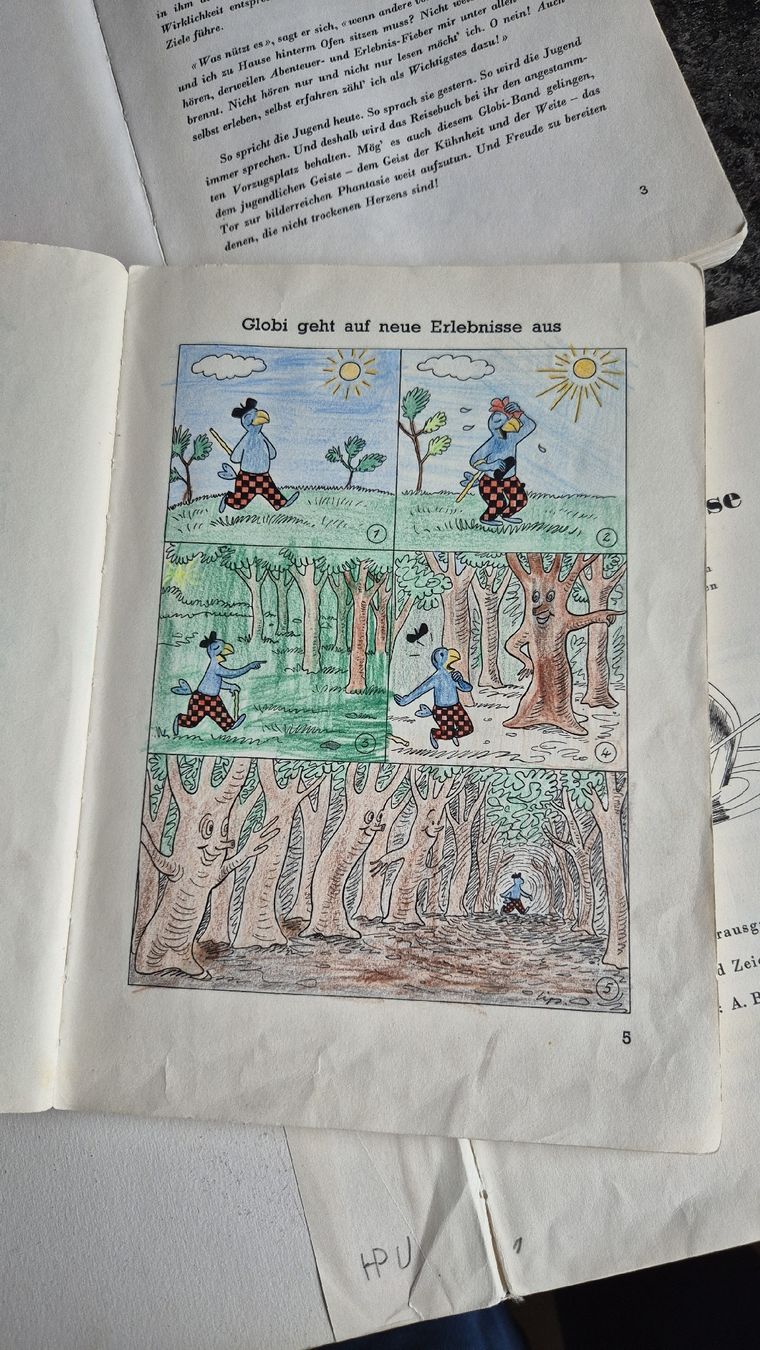 Libri: alte Globi-Bücher 1. Auflagen – Usato da St. Gallenkappel venduto da birkeblatt 3