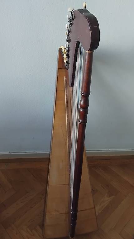 Strumenti musicali: Paraguayische Harfe – Usato da Genève venduto da pab_y8n7 1