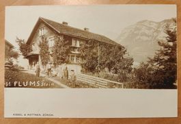 Sehr schöne Foto- Karte Flums, Stein um 1900