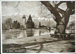 THUN Scherzligen mit Stockhornkette No. 50