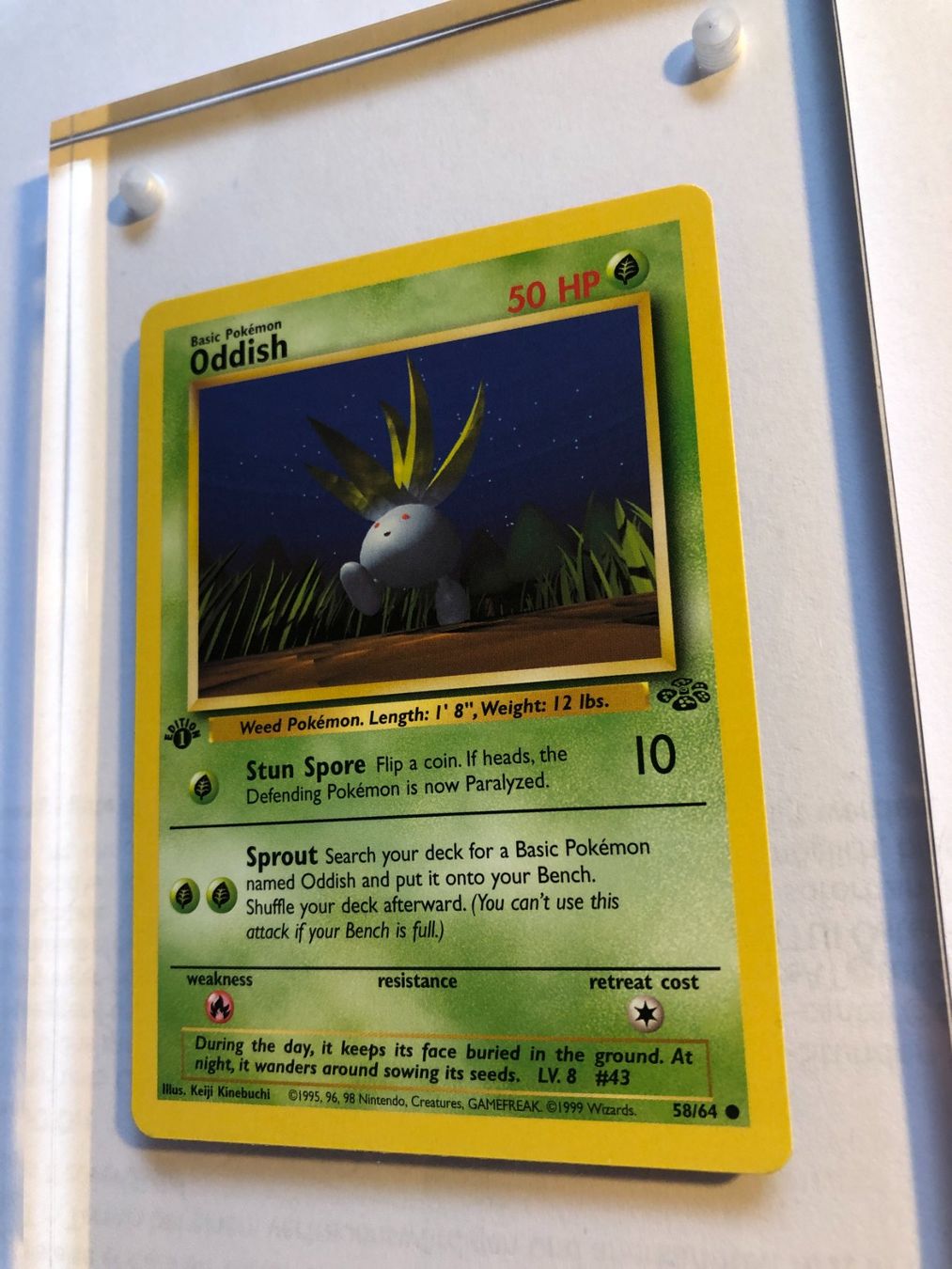 Cartes à collectionner: Oddish 1st Jungle - MINT - ab 1.- – D'occasion à Giubiasco par dan_pr8b 2