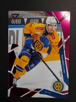2025/26 HCD Davos Adam Tambellini - pink - Series 2