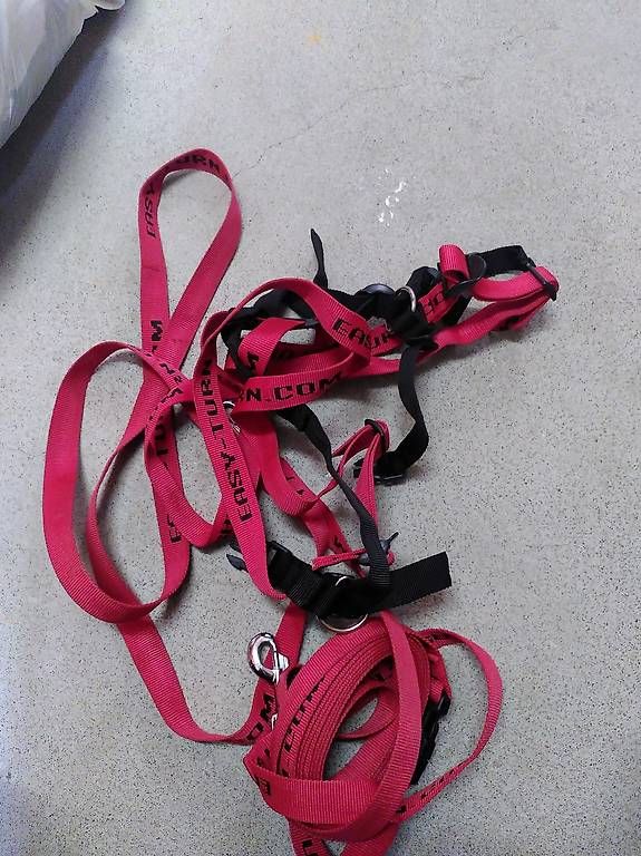 Attrezzatura da arrampicata: Easy Turn Skilernfahrhilfe – Usato da Brugg AG venduto da mic_yxq9