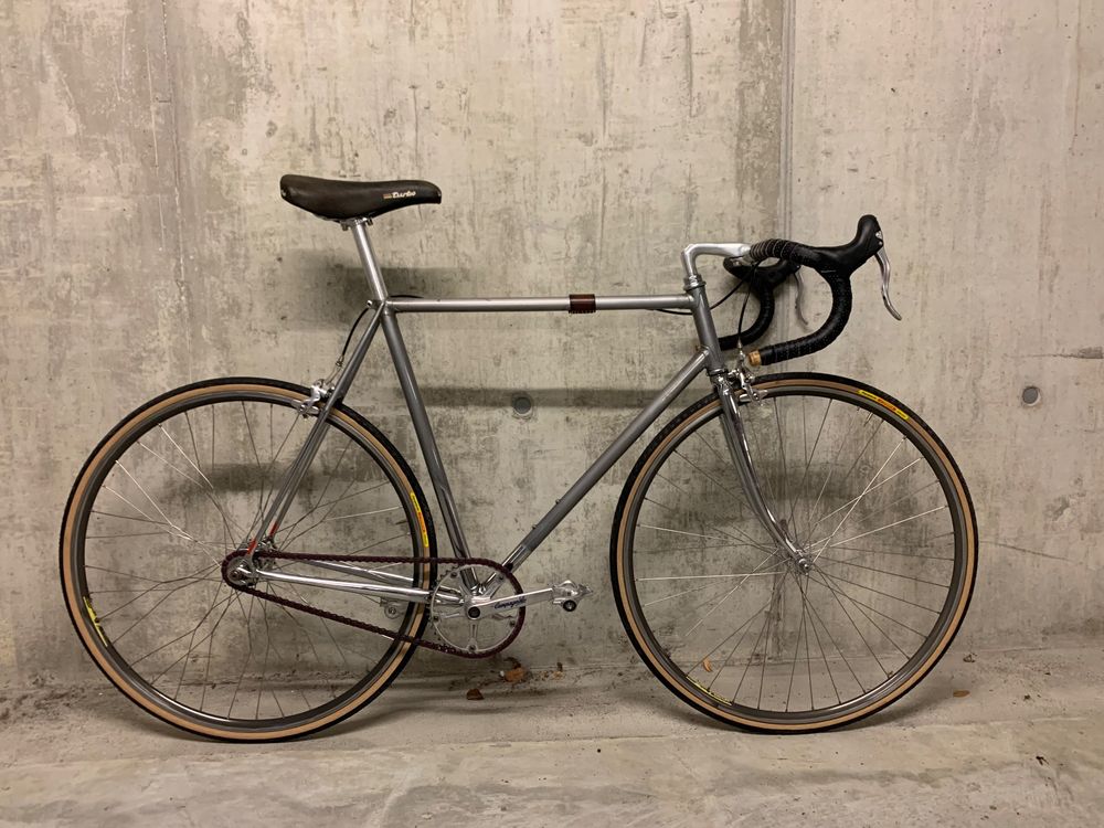 campagnolo fixie