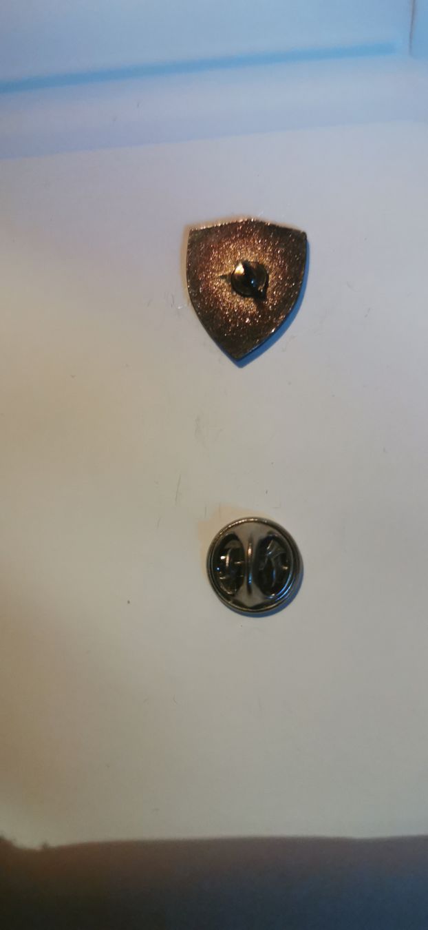 Placchette & Badge: Pin Stade Nyonnais – Usato da Genève venduto da vins50 1