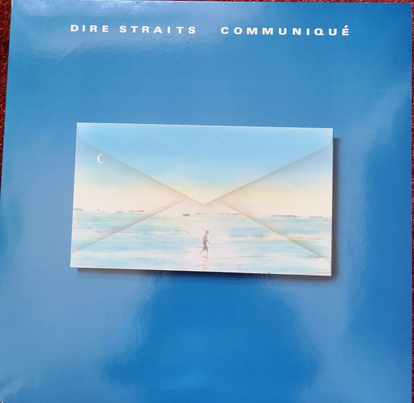 Dischi in vinile: 10 GEPFLEGTE ROCK/POP-ALBEN – Usato da Muttenz venduto da Sellerboy02