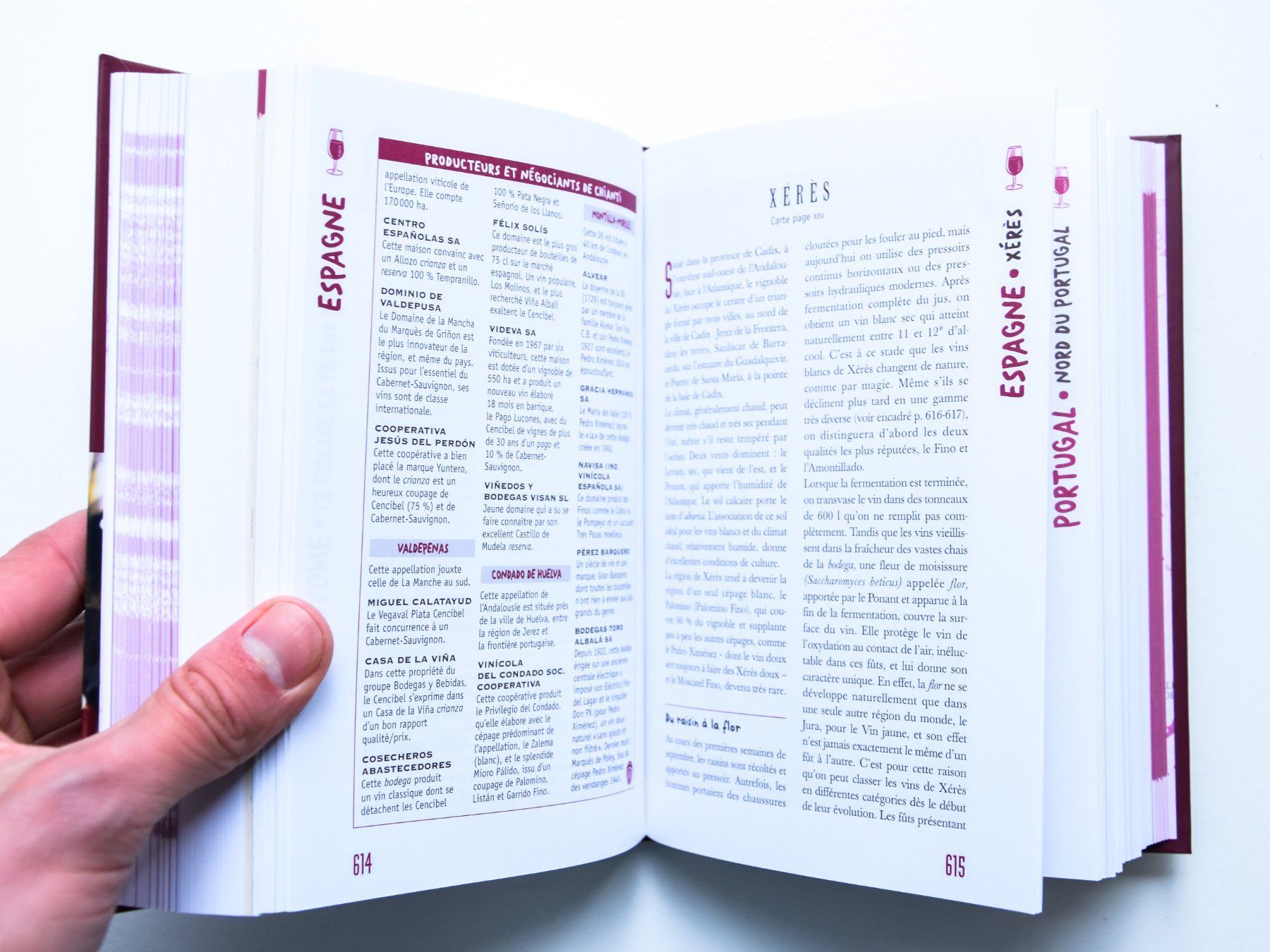 Libri: Le Petit Larousse des Vins – Nuovo (secondo la descrizione) da Belmont-sur-Yverdon venduto da bichet02 5