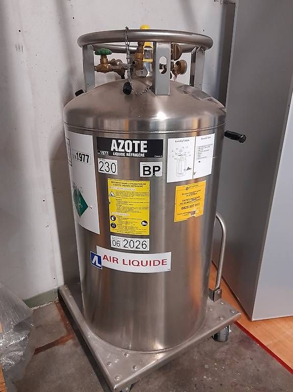 Tutte le macchine: Cryothérapie corps entier Cryosauna – Usato da Ste-Croix venduto da ser_wb6d 3