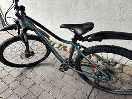 STW TREKKING BIKE MARIPOSA 200 29" TOP ZUSTAND