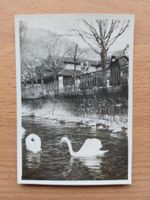 Altes orig. Foto Montreux am See um 1930