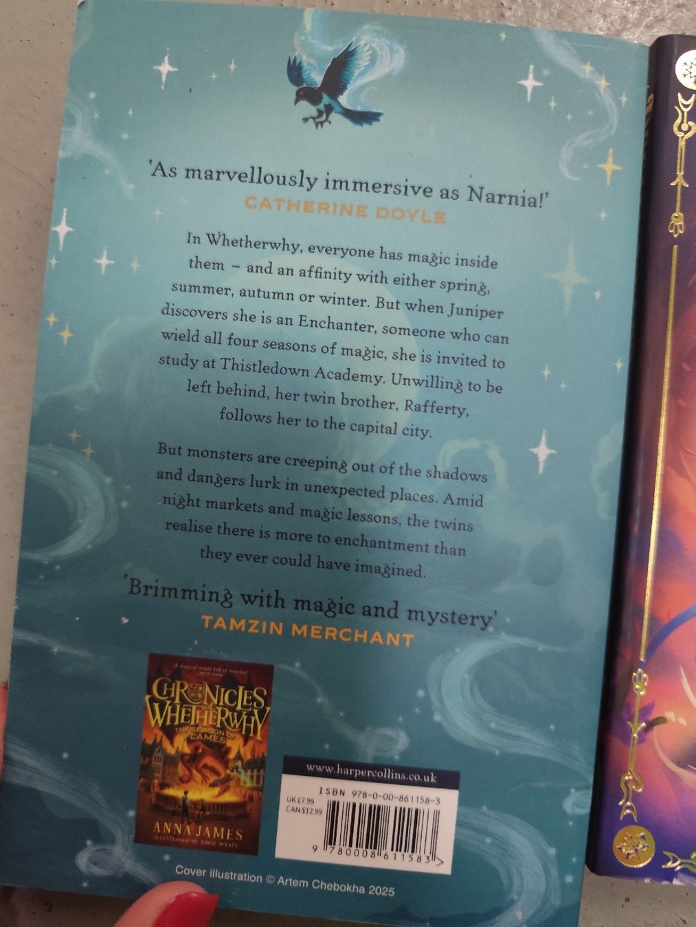 Libri: Fantasy Book Set: Chronicles of Whetherwhy and Dreamslinger – Usato da Mägenwil venduto da VintageGirly 1