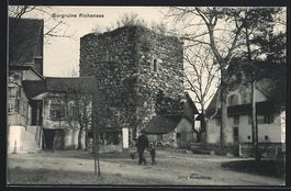 Hitzkirch /LU, Burgruine Richensee, Pano