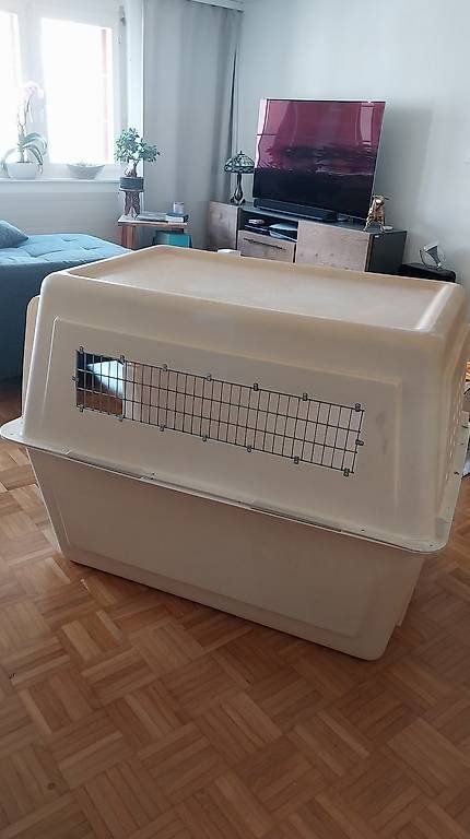 Käfige, Transport & Sicherheit: Hundebox gross – Gebraucht aus Lachen SZ von smile3000 1