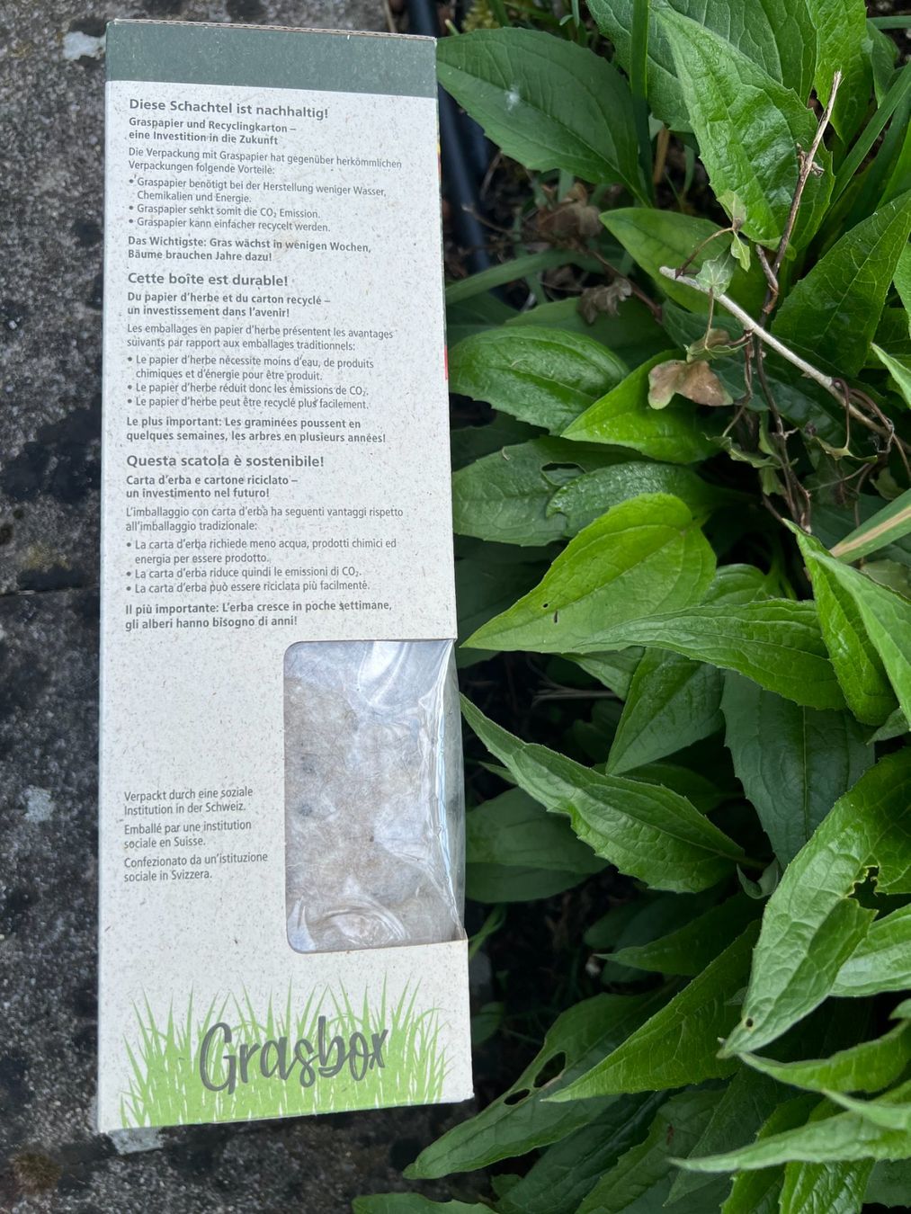 Libri: Schattenblütenzauber: clever nature – Nuovo e nell'imballaggio originale da Dietikon venduto da Mower73 2