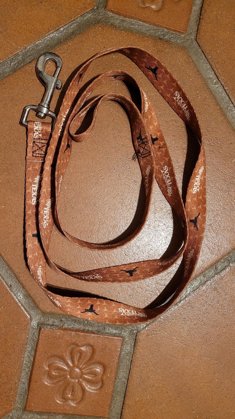Leine & Halsband: Hundeleine Texas – Gebraucht aus Uetendorf von Heyhey3661