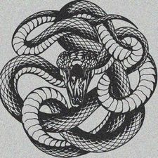 Profile image of ran_28bp